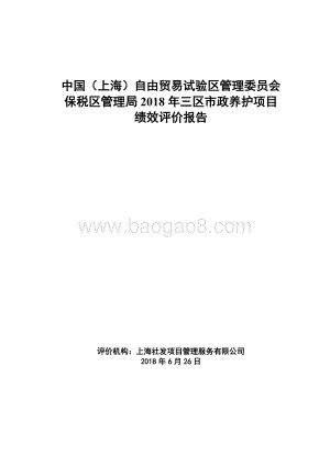 2018年三区市政养护项目绩效评价报告.doc