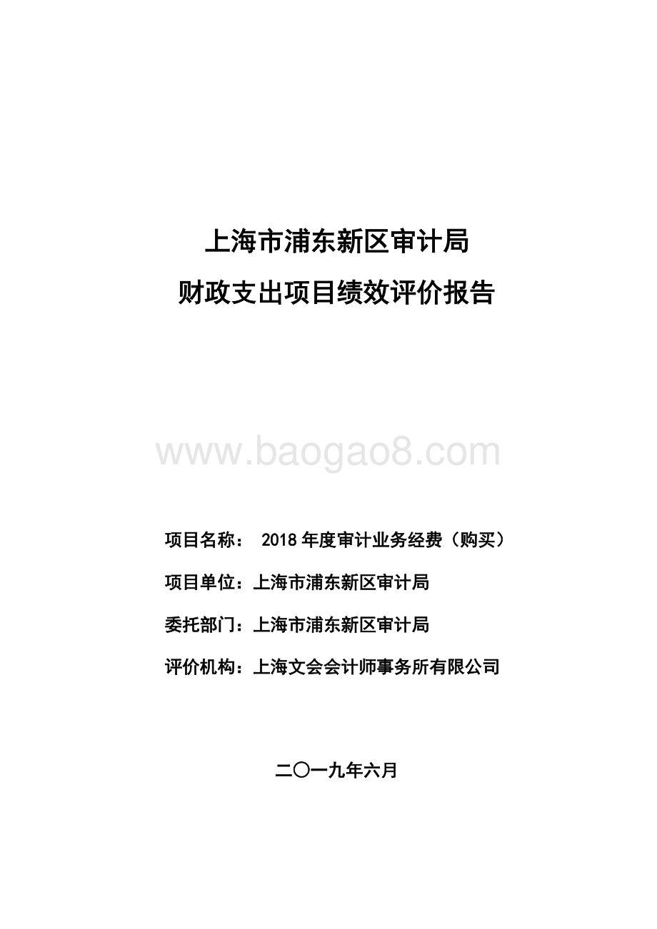 2018年度审计业务经费（购买）绩效评价报告.docx_第1页