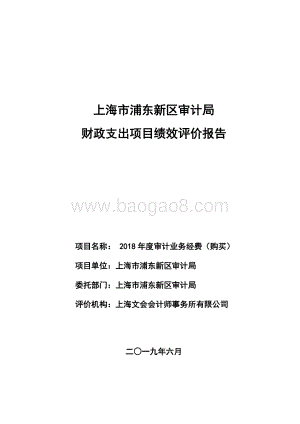 2018年度审计业务经费（购买）绩效评价报告.docx