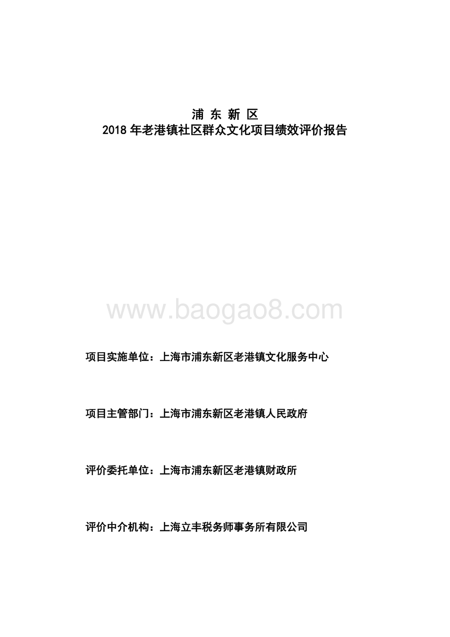 2018年老港镇社区群众文化项目绩效评价报告.docx_第3页