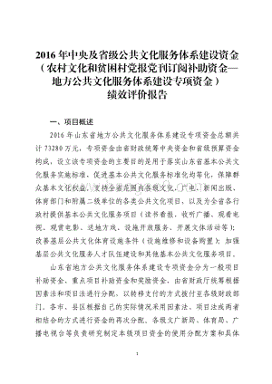 2016年中央及省级公共文化服务体系建设资金（农村文化和贫困村党报党刊订阅补助资金—地方公共文化服务体系建设专项资金）绩效评价报告（山东）.pdf