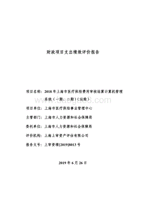 2018 年上海市医疗保险费用审核结算计算机管理系统（一期、二期）（运维）绩效评价报告.pdf
