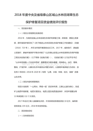 2018年度中央及省级泰山区域山水林田湖草生态保护修复项目资金绩效评价报告（山东）.docx
