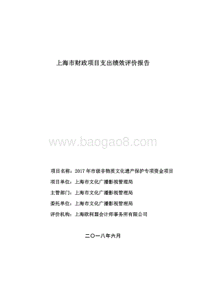 2017 年市级非物质文化遗产保护专项资金项目绩效评价报告.pdf