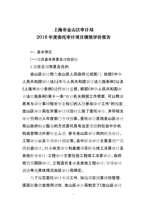 2018年度委托审计项目绩效自评价报告.doc
