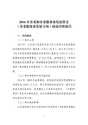2016年养老和养老服务业发展资金（养老服务业发展专项）绩效评价报告（山东）.pdf