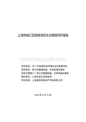 2017 年街道市容环境社会化管理项目绩效评价报告.pdf