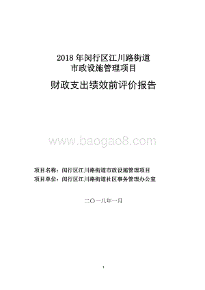 2018年闵行区江川路街道办事处市政设施管理绩效前评价报告.pdf