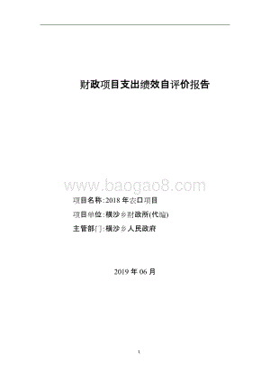 2018年农口项目项目绩效评价报告.doc