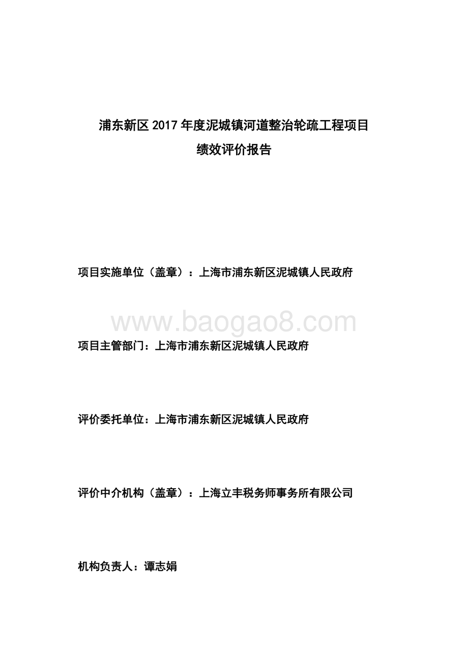 2017年度泥城镇河道整治轮疏工程项目绩效评价报告.docx_第3页