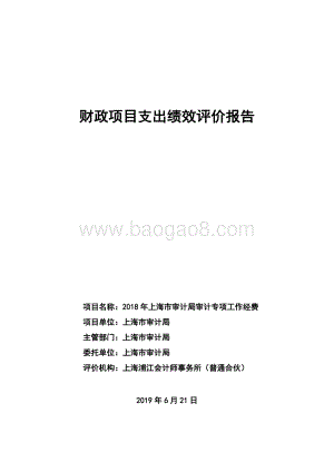 2018 年上海市审计局审计专项工作经费绩效评价报告.pdf