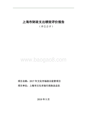 2017 年文化市场综合监管项目绩效评价报告.pdf
