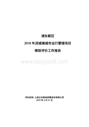 2018年泥城镇城市运行管理项目绩效评价报告.docx