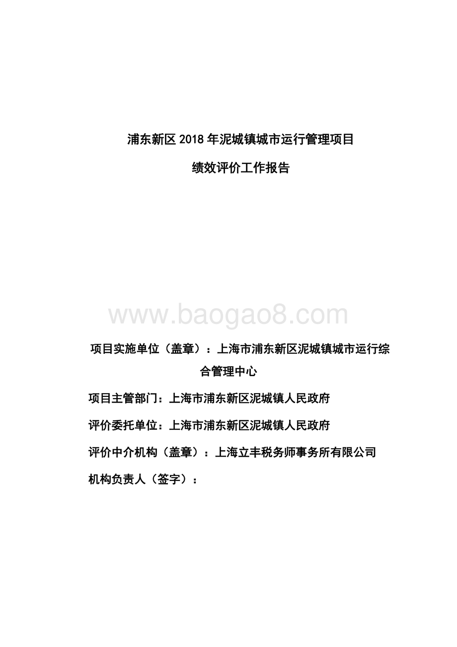 2018年泥城镇城市运行管理项目绩效评价报告.docx_第3页