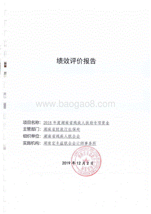 2018年残疾人扶助专项绩效评价报告（湖南）.pdf
