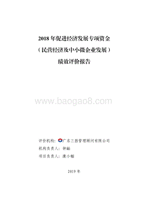 2018 年促进经济发展专项资金（民营经济及中小微企业发展）绩效评价报告.pdf