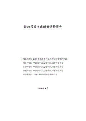 2018 年上海市网上共青团运营推广项目绩效评价报告.pdf
