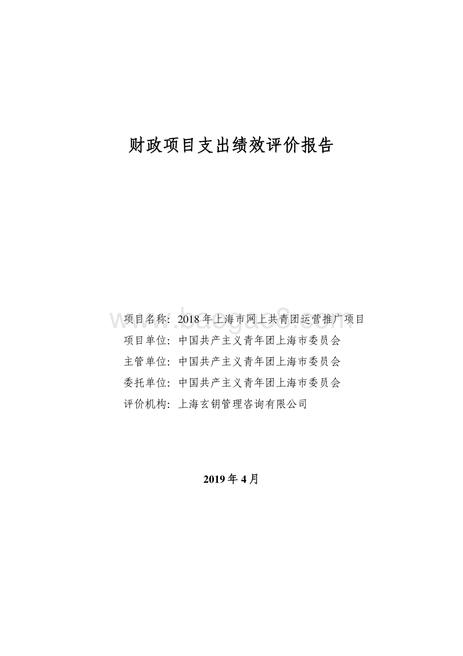 2018 年上海市网上共青团运营推广项目绩效评价报告.pdf_第1页