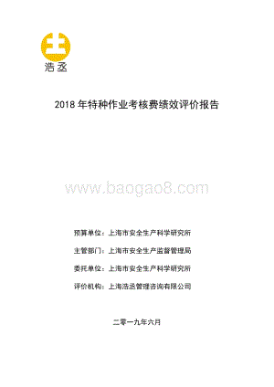 2018 年特种作业考核费绩效评价报告.pdf