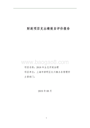 2018年生态河道治理项目绩效评价报告.doc