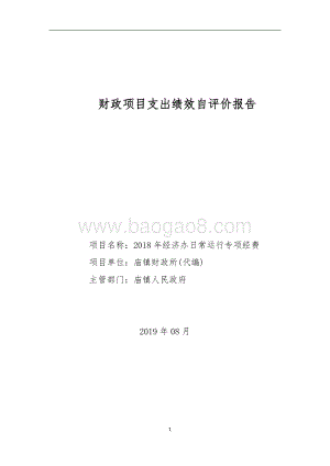 2018年经济办日常运行专项经费项目绩效评价报告.doc