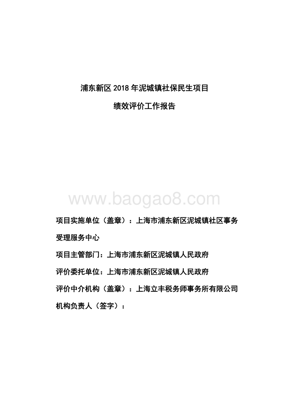 2018年泥城镇社保民生项目绩效评价报告.docx_第3页