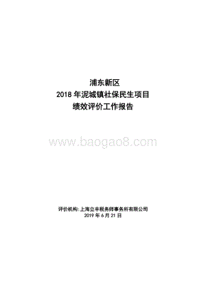 2018年泥城镇社保民生项目绩效评价报告.docx