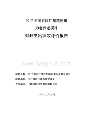 2017年闵行区江川路街道为老养老项目财政支出绩效评价报告.pdf