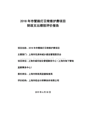 2018年市管路灯日常维护费项目财政支出绩效评价报告.pdf