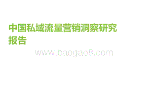 2021年中国私域流量营销洞察研究报告.pdf