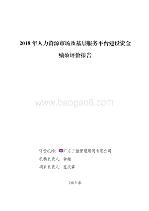 2018 年人力资源市场及基层服务平台建设资金绩效评价报告.pdf