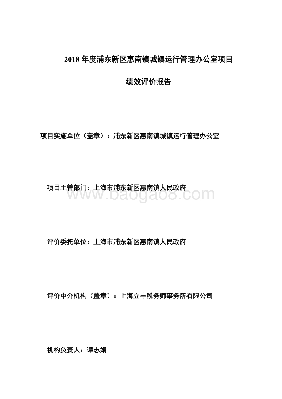 2018年度浦东新区惠南镇城镇运行管理办公室项目绩效评价报告.docx_第3页