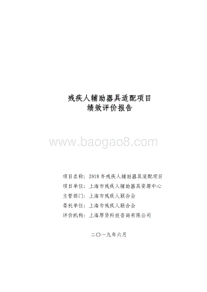 2018 年残疾人辅助器具适配项目绩效评价报告.pdf