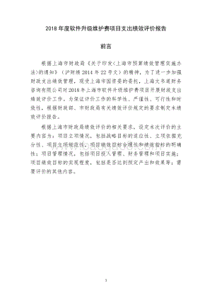 2018 年度软件升级维护费项目绩效评价报告.pdf