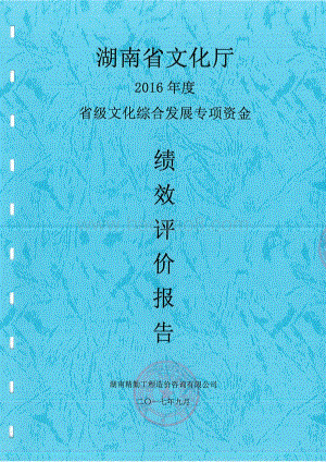 2016年文化综合发展专项绩效评价报告（湖南）.pdf