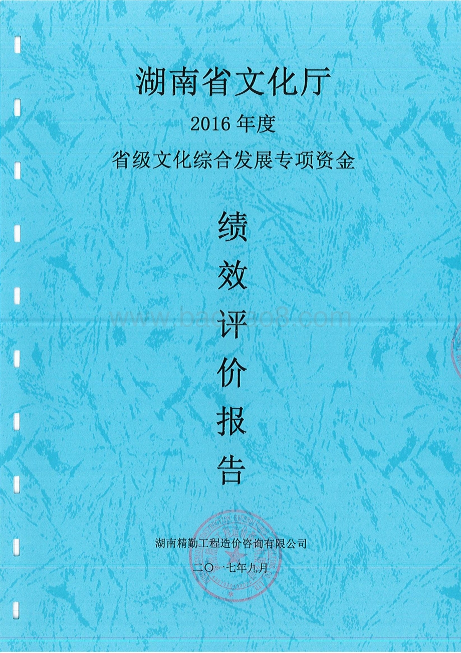 2016年文化综合发展专项绩效评价报告（湖南）.pdf_第1页