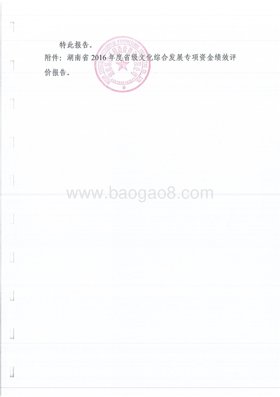 2016年文化综合发展专项绩效评价报告（湖南）.pdf_第3页