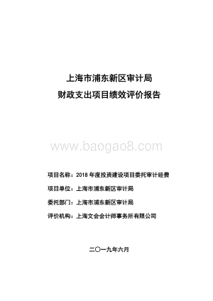2018年度投资建设项目委托审计经费绩效评价报告.docx