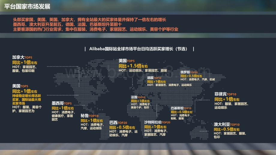 阿里巴巴国际站流量发展报告.pdf_第5页