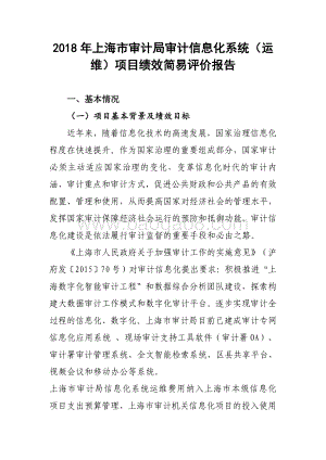 2018 年上海市审计局审计信息化系统（运维）项目绩效评价报告.pdf