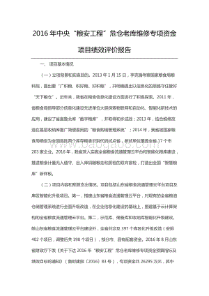 2016年中央“粮安工程”危仓老库维修专项资金项目绩效评价报告（山东）.docx