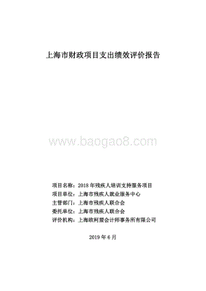 2018 年残疾人培训支持服务项目绩效评价报告.pdf