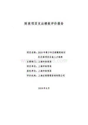 2018 年青少年足球精英培训及足球项目后备人才培养绩效评价报告.pdf