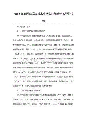 2018年度困难群众基本生活救助资金绩效评价报告（山东）.docx