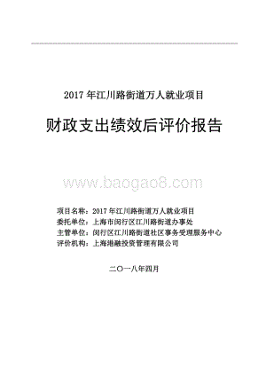 2017年闵行区江川路街道万人就业项目财政支出绩效评价报告.pdf