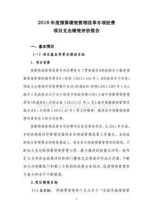 2018 年度预算绩效管理改革专项经费项目支出绩效评价报告.pdf