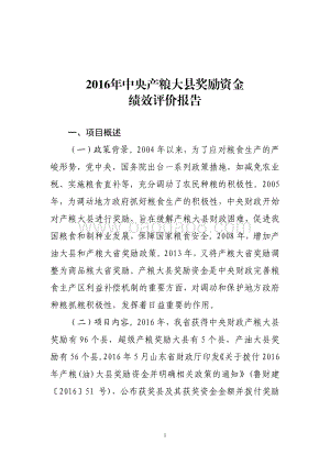 2016年中央产粮大县奖励资金绩效评价报告（山东）.pdf