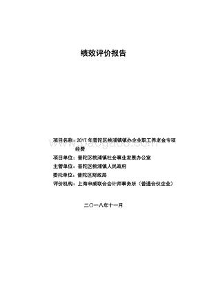 2017年桃浦镇镇办企业职工养老金专项经费绩效评价报告.pdf