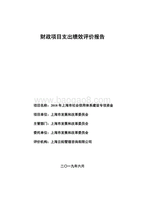 2018 年上海市社会信用体系建设专项资金绩效评价报告.pdf