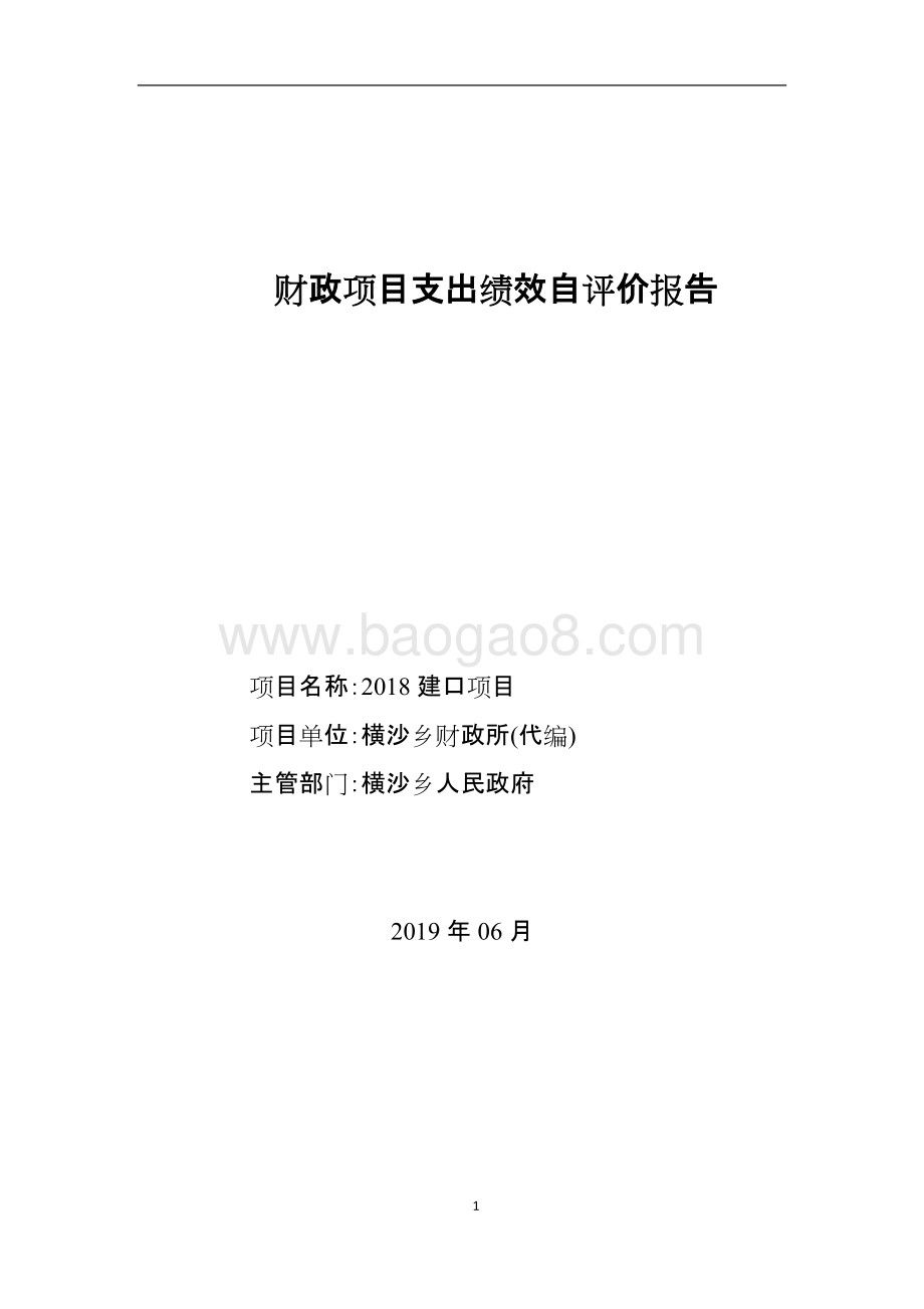 2018建口项目项目绩效评价报告.doc_第1页